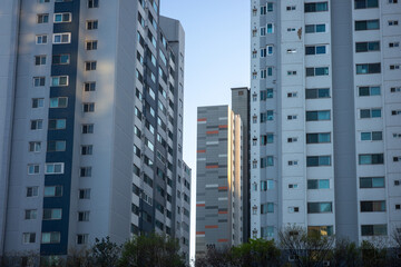 Naklejka premium high rise building