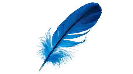 Vibrant blue feather floating gently, perfect for artistic designs and creative concepts for stock users