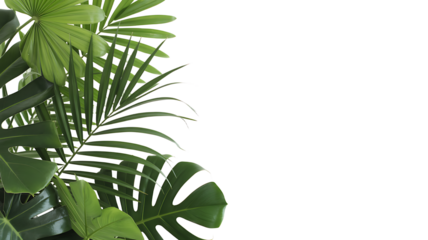 Lush tropical leaves for a vibrant summer vibe create a fresh exotic jungle mood and natural elegant design