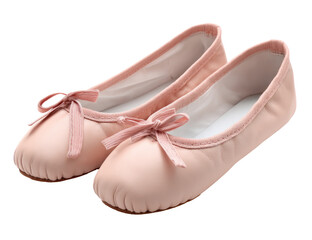 Obraz premium Pair of light pink ballet flats