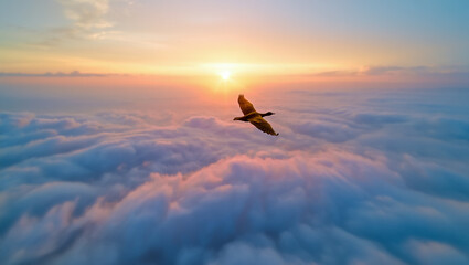 Lone bird soaring through clouds at sunrise over the ocean
