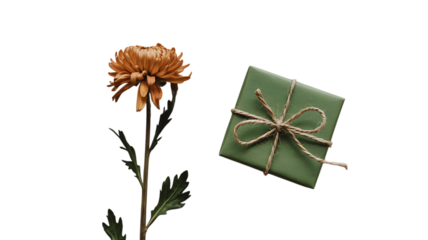 A single dried orange chrysanthemum next to a small green gift box