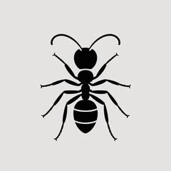 Folder Icons – File, Directory, Storage, Data Organization Symbols