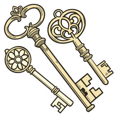 Vector art of three ornate antique keys with decorative handles and intricate bit patterns, isolated on white background
