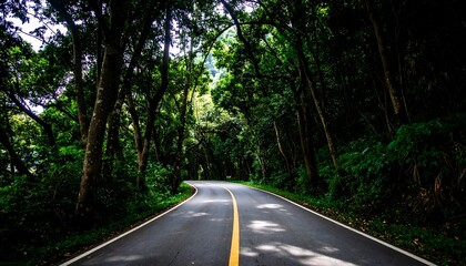 Obraz premium Winding road through a lush forest