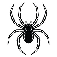 Vector art of black spider silhouette isolated on white background, a graphic illustration of an arachnid with eight legs