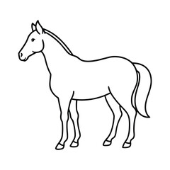 horse coloring book illustration 