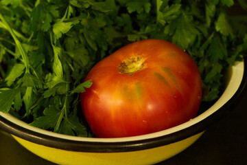 tomato and parsley are lying on a plate