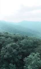 Turquoise layered forest distant mountain range