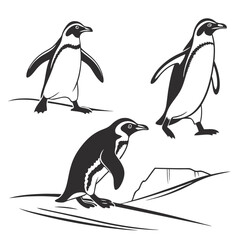 Vector art of three penguins in a stylized illustration, isolated on white background
