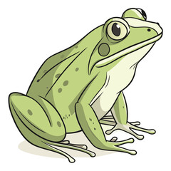 Vector art of cute green frog cartoon illustration isolated on white background