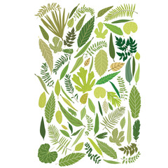 Illustration of various plants and leaves, bright colors transparent background
