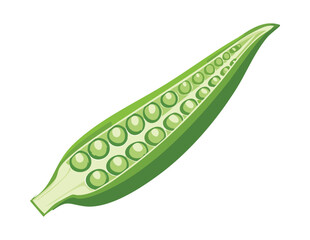 One Okra Vegetable Cross Section Food Ingredient - Vector Illustration