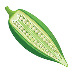 Raw Okra Vegetable Cross Section Food Ingredient - Vector Illustration