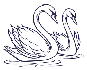 Vector art of two elegant swans swimming gracefully on the water, a symbol of love and beauty