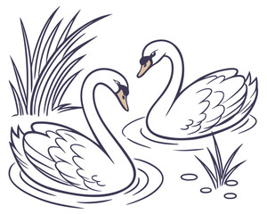 Vector art of two elegant swans swimming gracefully in calm water with reeds, a simple line drawing