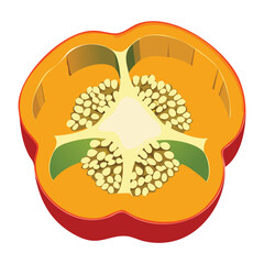 A Healthy Pepper Vegetable Cross Section - Vector Illustration