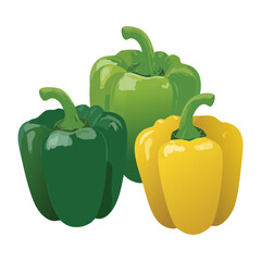 A Group of Colorful Bell Pepper Vegetable - Vector Illustration
