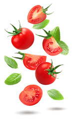 fresh tomatoes with basil isolated on white background. clipping path