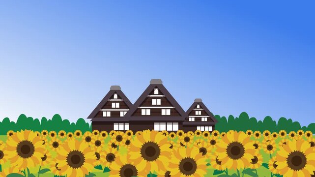 日本の夏のひまわり畑