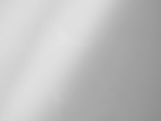 Background shadow white light wall floor backdrop overlay leaf mockup summer sunight overlay nature on room cement abstract blur muckup effect grey minimal platform for presentation product