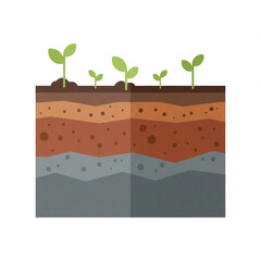 Observe the fascinating layers of soil and nascent plant growth, illustrating earth science and agricultural development with vibrant green sprouts emerging from rich brown earth.