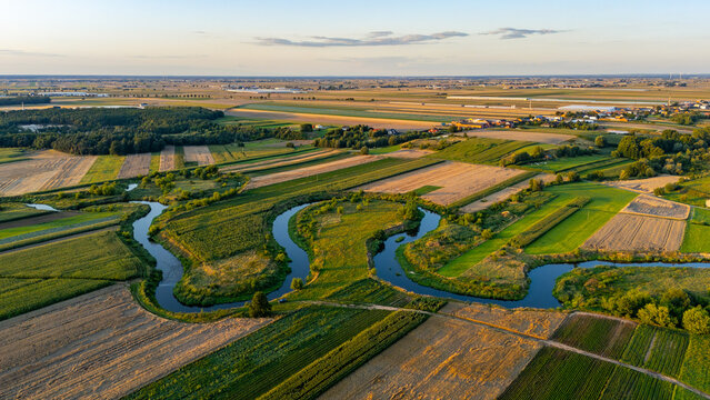 Meanders of the Prosna River winding through the agricultural landscape of Poland. Aerial view showing natural river curves, farmland patterns, and rural geography shaped by hydrological processes.