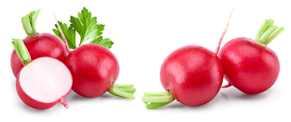 fresh radish isolated on white background. clipping path