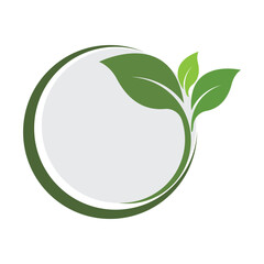 Green leaf ecology nature element