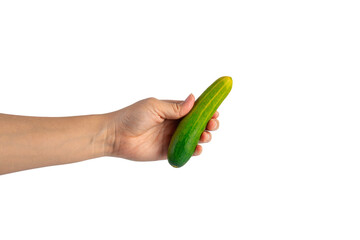 Fresh cucumbers and hand on transparent background.