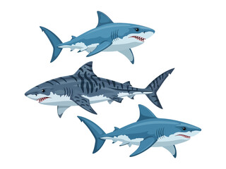 Obraz premium Ocean Predators: Majestic sharks swim gracefully, illustrating their power and elegance. Showing their unique characteristics. 