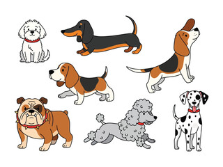 Delightful Dog Breeds: A charming collection of beloved dog breeds, each depicted in vibrant detail, from the regal poodle to the playful dachshund. Perfect for any canine enthusiast.