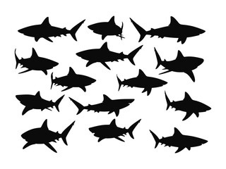Sharks Silhouette: A captivating ensemble of sharp sharks swimming in the depth, creating a stunning visual representation of marine life and sea creatures.