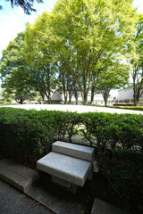 砧公園