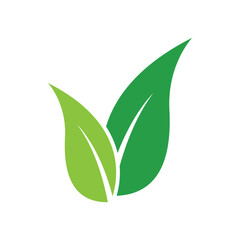 Green leaf ecology nature element