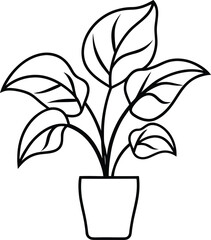 vector illustration of a plant