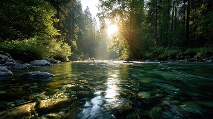 Obraz premium Tranquil river flowing through a lush forest at sunrise.