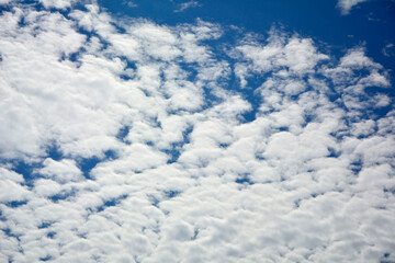 niebieskie niebo z białymi, puszystymi chmurami, tło z błekitnym niebem i delikatnymi chmurami, miejsce na tekst, blue sky with white clouds, background with blue sky and white clouds,  space for text © kateej