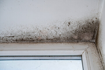 Dark mold infestations cover the corner of a window frame in a home, highlighting moisture issues in the area