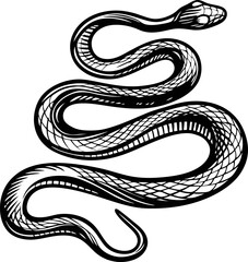 Fototapeta premium Curved snake illustration, black and white hand drawn reptile with detailed scales and coiled body, isolated on white