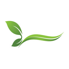 Green leaf ecology nature element