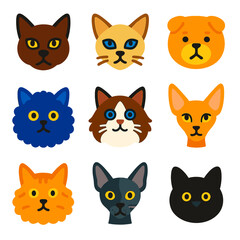 Fototapeta premium Vibrant Cat Breed Icons. Flat vector icons of cat breeds: Burmese strong muzzle, Tonkinese almond eyes, Scottish Fold bent ears.