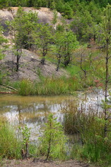 A view over the water, reflecting trees and rocks, was created in the  excavation of an abandoned mine in the Gagaty Soltykowskie nature reserve.