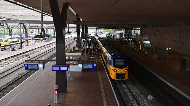 ROTTERDAM, NETHERLANDS, August 1, 2025. Yellow and blue NS trains on the platform of Rotterdam Central Station with passengers and modern canopy. 