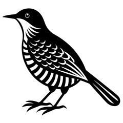 Black silhouette icon of a cactus wren in flight