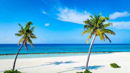 Panorama view of tropical beach with coconut palm trees as white sand beach background