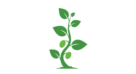 Fototapeta premium Green plant vector stalk with leaves and oval shapes on white background