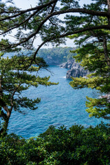 Jogasaki Coast, a serene coastal view framed by lush trees, showcasing sparkling blue waters and rugged cliffs in the background tourism view in Ito, Japan