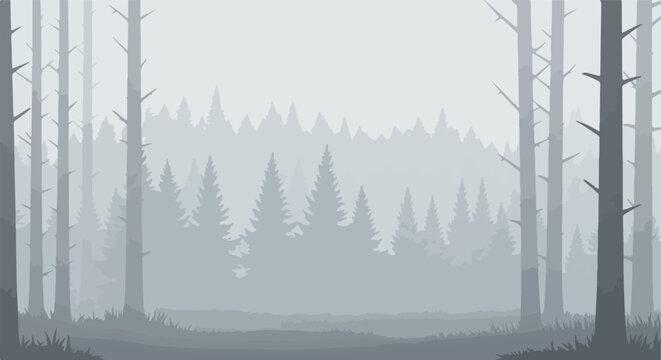 Gray scale scenery with trees and foliage in layers of a misty forest