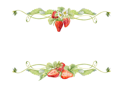 Strawberry hanging on stems with vines tendrils, ripe garden berry pineberry strasberry. Isolated hand drawn watercolor vignette frame. Farmers market, eco gardening calendar, food packaging cards